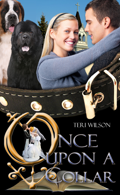 OnceUponACollar_w4326_680